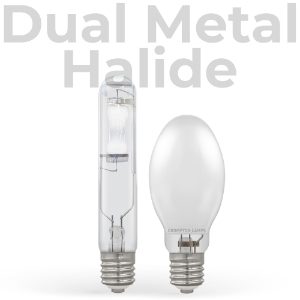 Discharge Dual Metal Halide