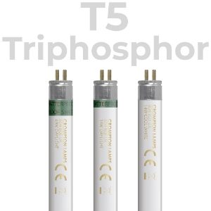 Fluorescent T5 Triphosphor