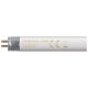 FT2113W - Fluorescent T5 Halophosphate 13W 3500K G5