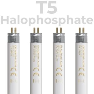 Fluorescent T5 Halophosphate