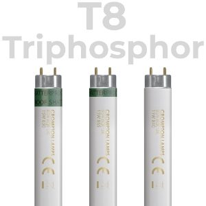 Fluorescent T8 Triphosphor